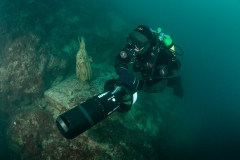 Podmorsko Hodocasce - Foto Ranko Frka-8146
