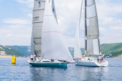 M0046931