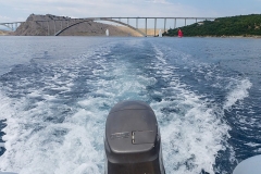 M0046973