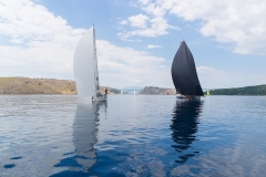 M0046991