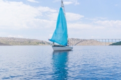 M0047007
