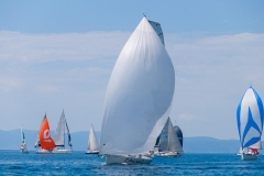 P0000393