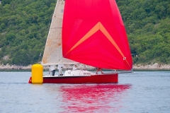 P0000533