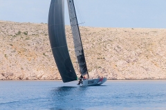 P0000541