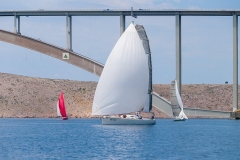 P0000559