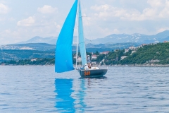 P0000608