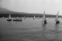 5Kraljevička regata optimista, kadeta i klase 470, 1974. godina